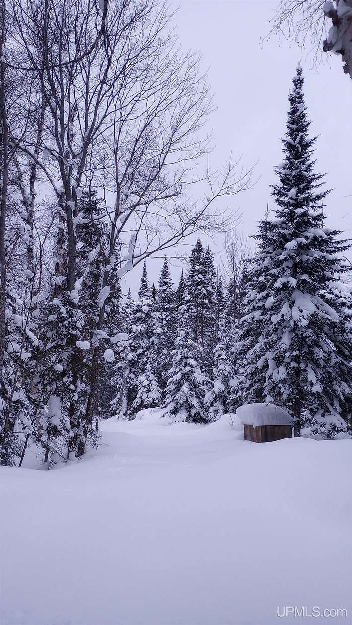 15.4 Acres of Recreational Land for Sale in Grand Marais, Michigan