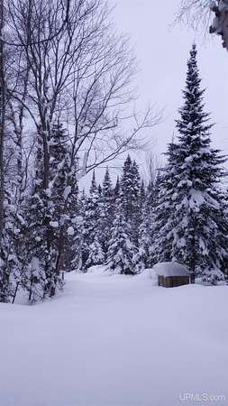 15.4 Acres of Recreational Land for Sale in Grand Marais, Michigan