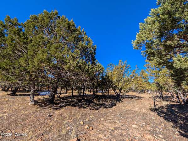 0.87 Acres of Residential Land for Sale in Heber, Arizona