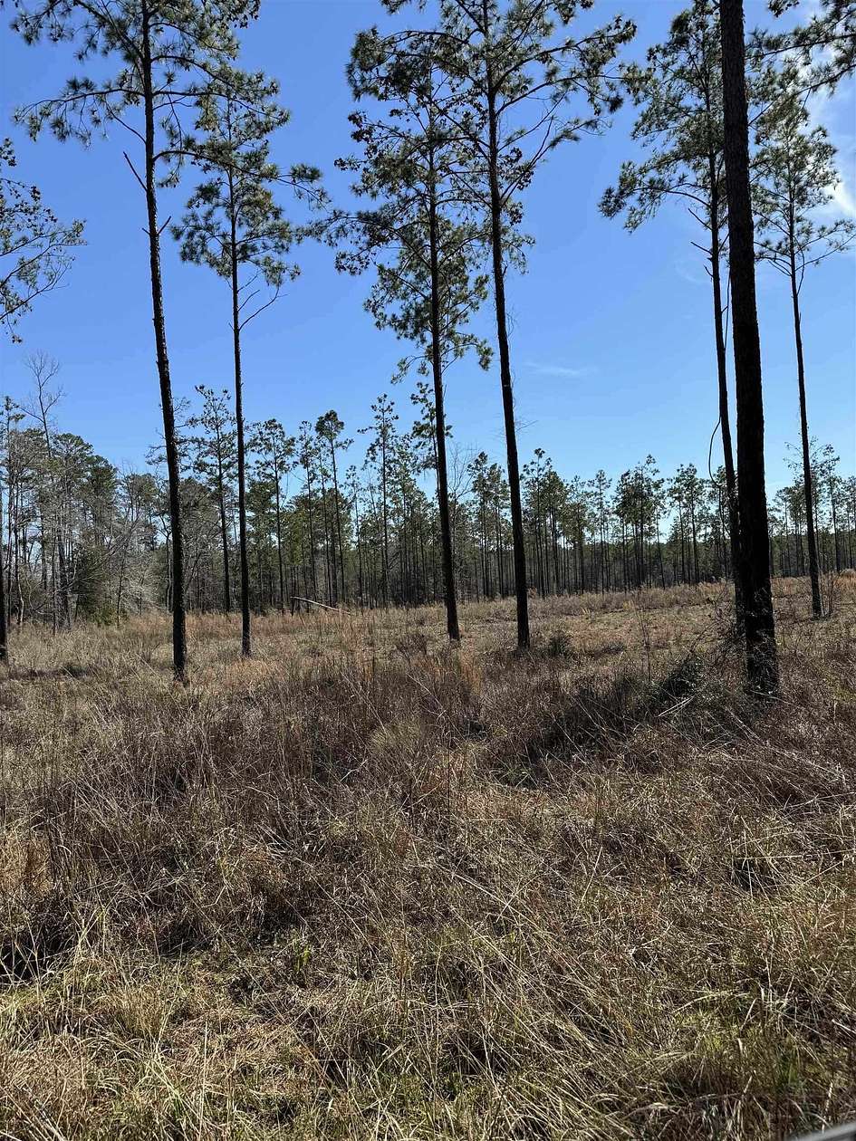 1 Acre of Residential Land for Sale in Brookeland, Texas