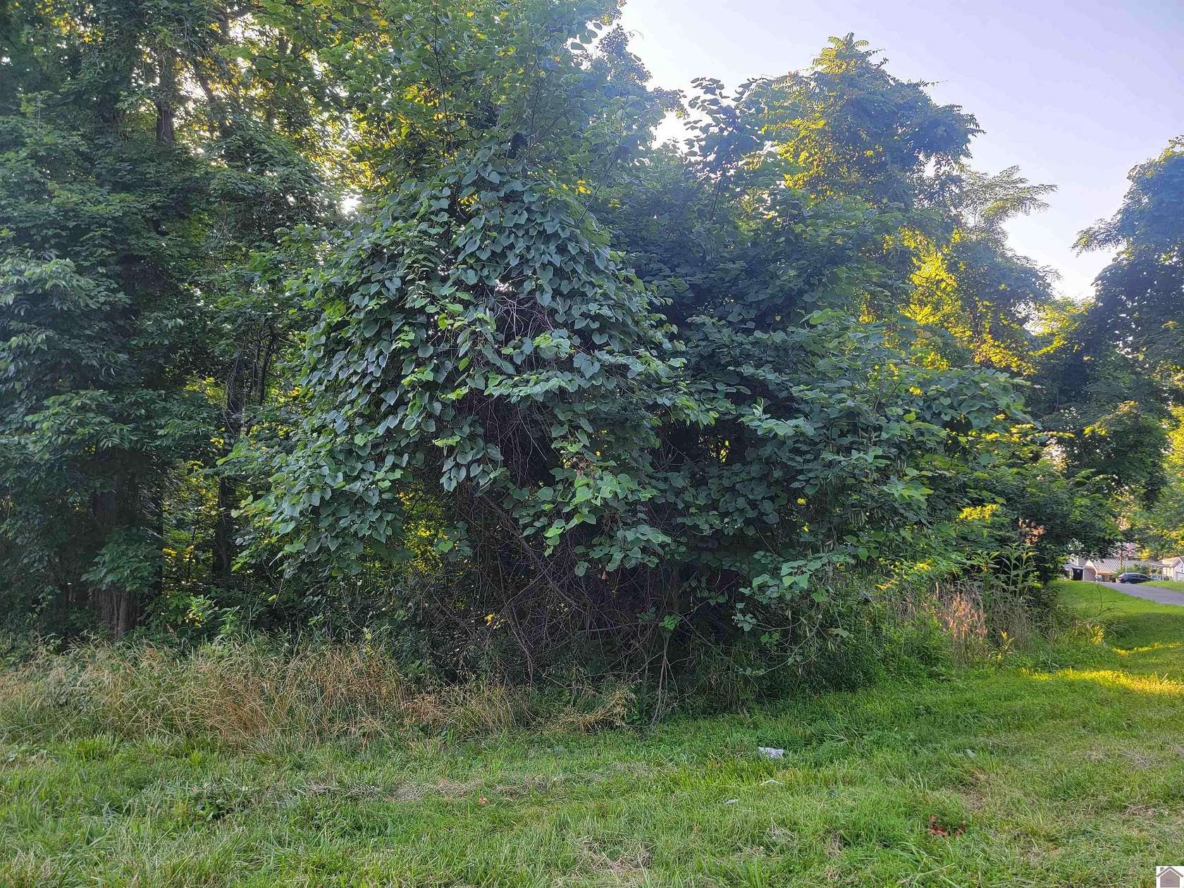 1 Acre of Residential Land for Sale in Eddyville, Kentucky