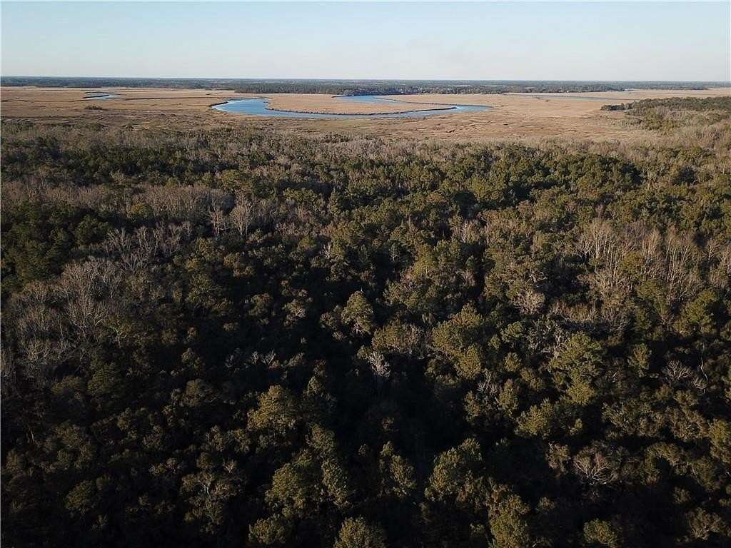 17.5 Acres of Land for Sale in Townsend, Georgia