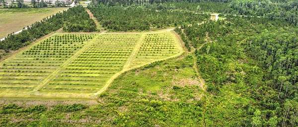 40.8 Acres of Land for Sale in Valdosta, Georgia