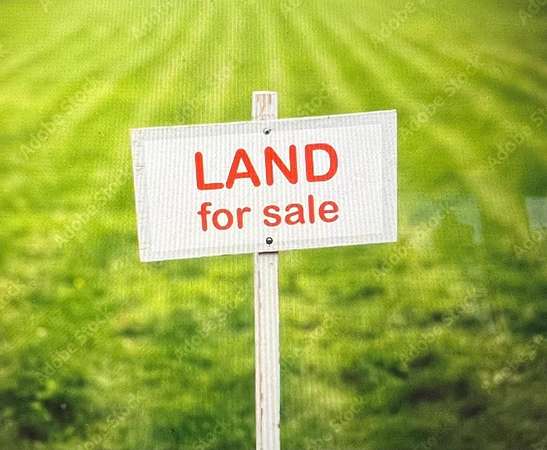 40.8 Acres of Land for Sale in Valdosta, Georgia