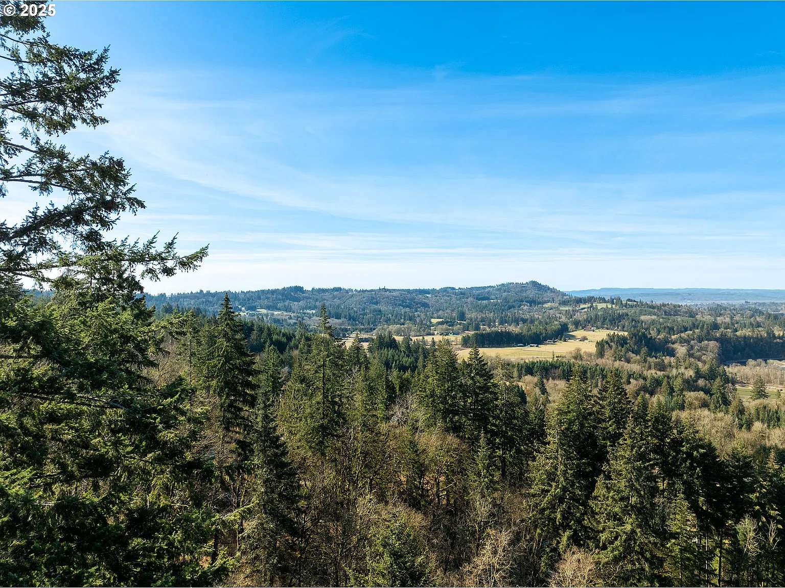 5.5 Acres of Land for Sale in Woodland, Washington