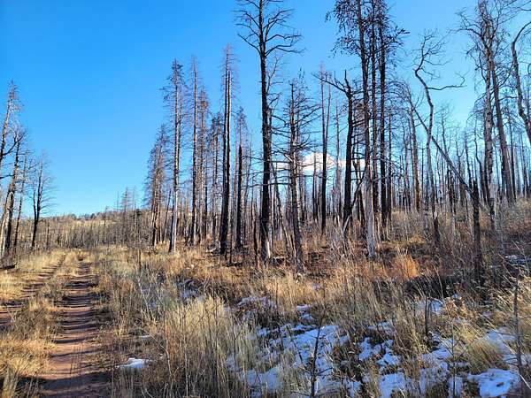 1.38 Acres of Residential Land for Sale in Fort Garland, Colorado