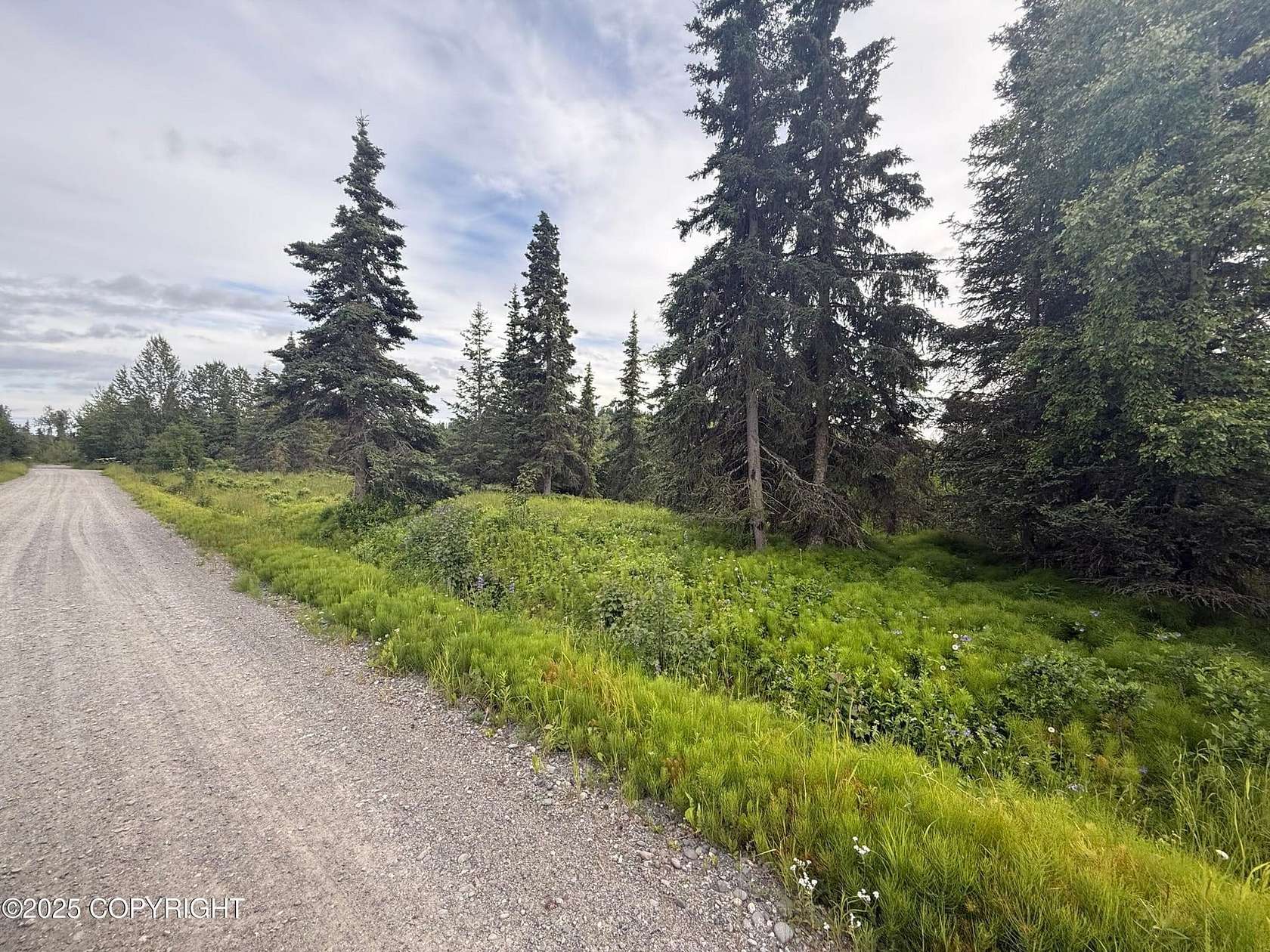 2 Acres of Land for Sale in Ninilchik, Alaska