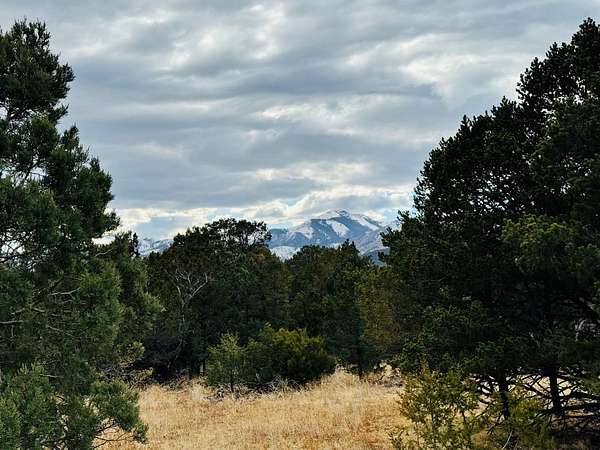 6.6 Acres of Recreational Land for Sale in Alto, New Mexico