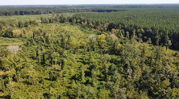 40 Acres of Land for Sale in Bastrop, Louisiana