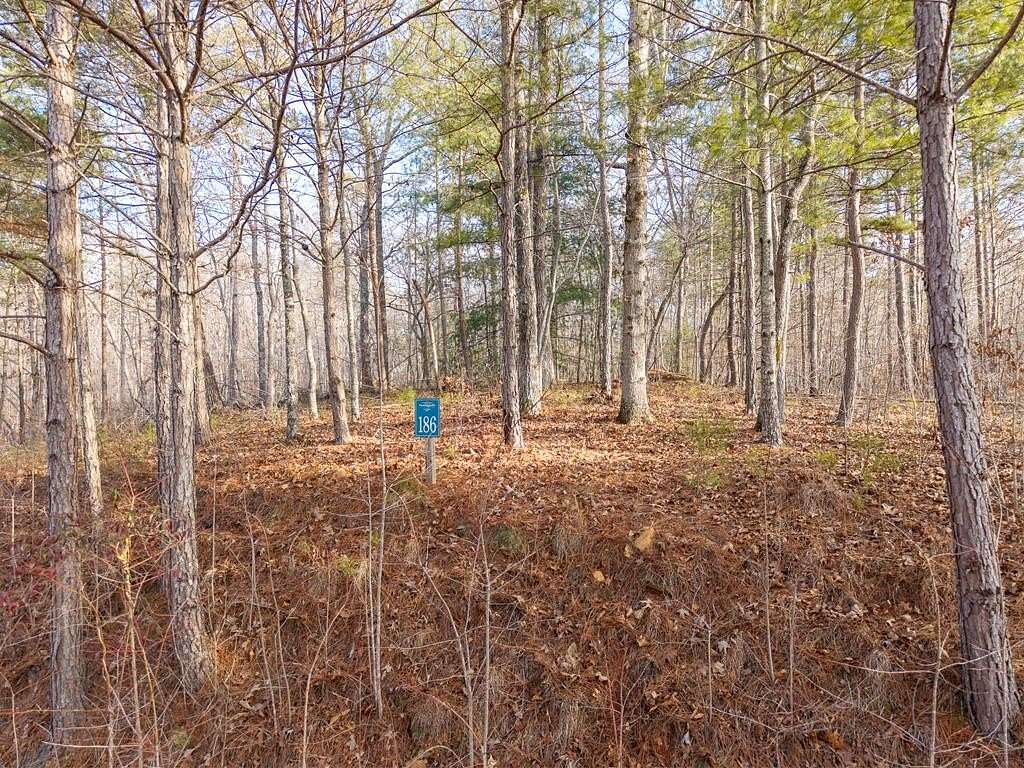 1 Acre of Residential Land for Sale in Ellijay, Georgia
