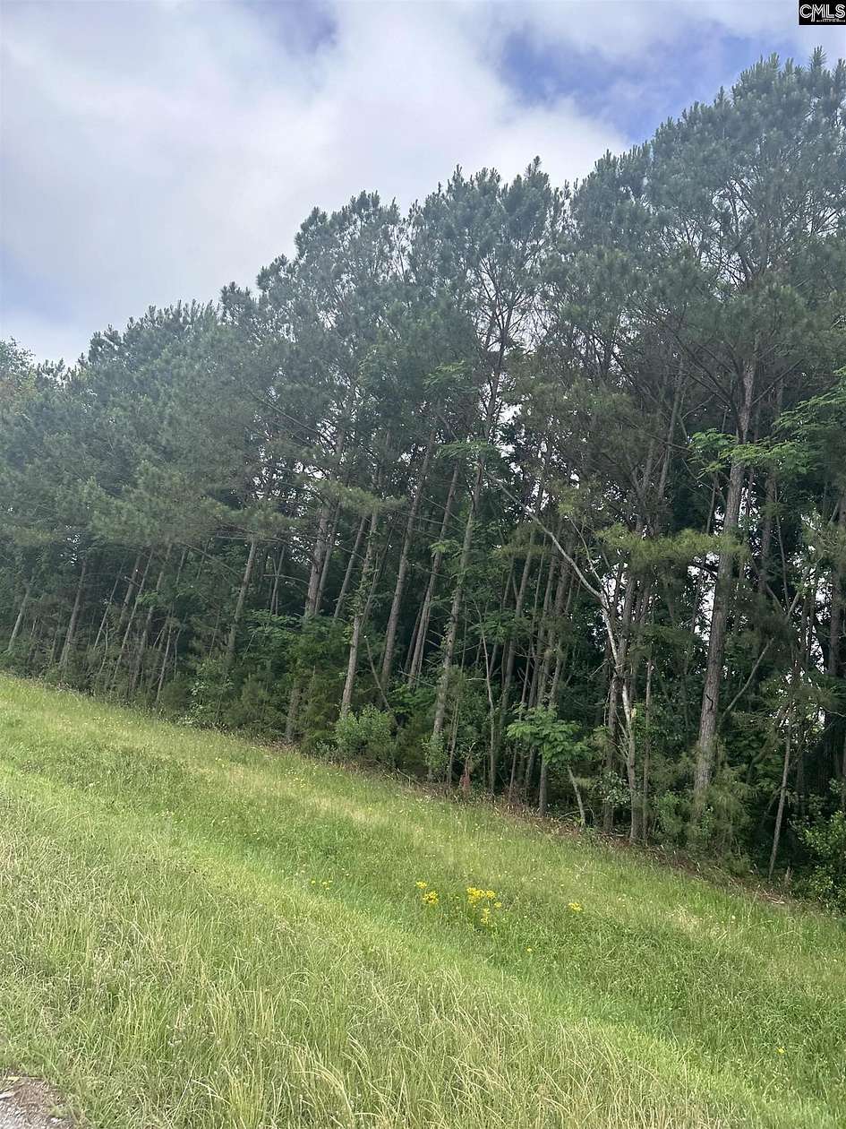 5.59 Acres of Mixed-Use Land for Sale in Newberry, South Carolina