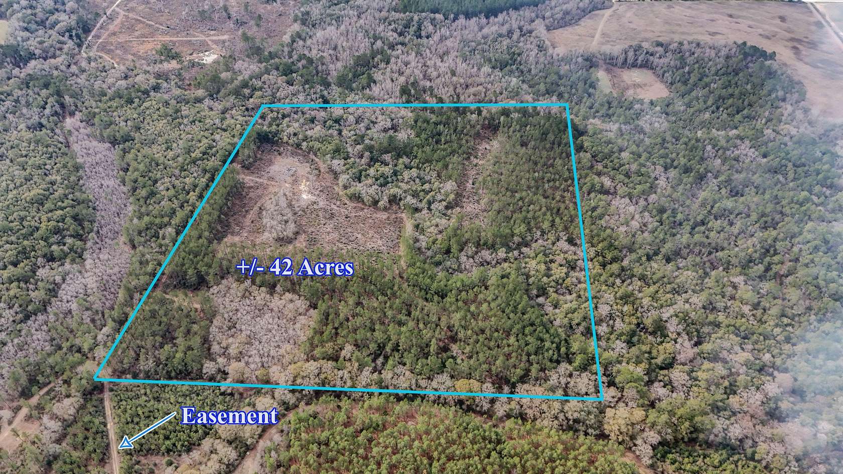 42 Acres of Recreational Land & Farm for Sale in Florala, Alabama