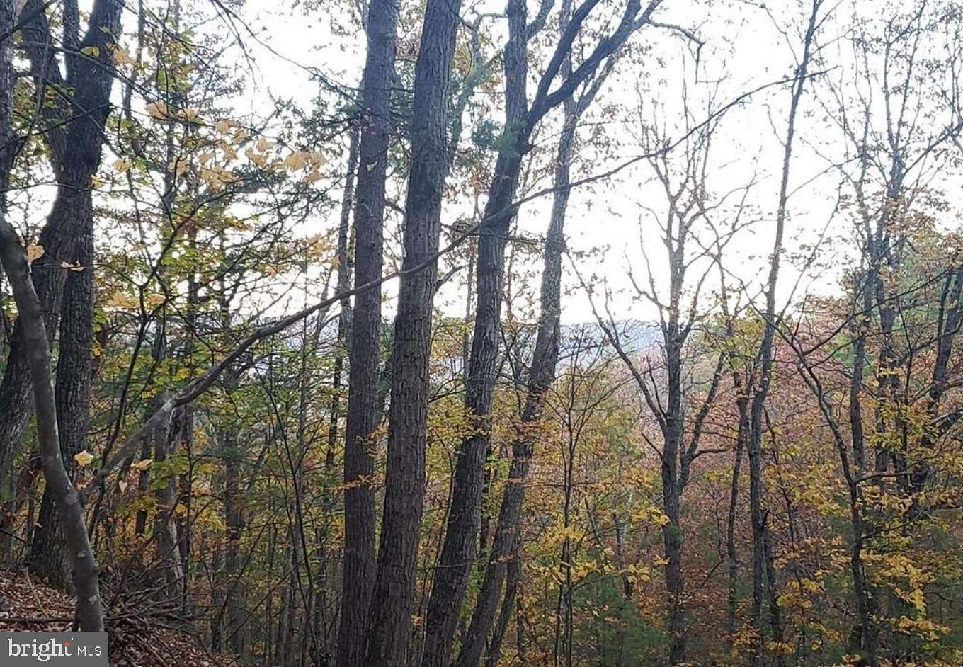 0.57 Acres of Residential Land for Sale in Basye, Virginia