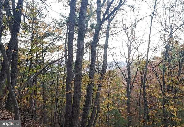 0.57 Acres of Residential Land for Sale in Basye, Virginia