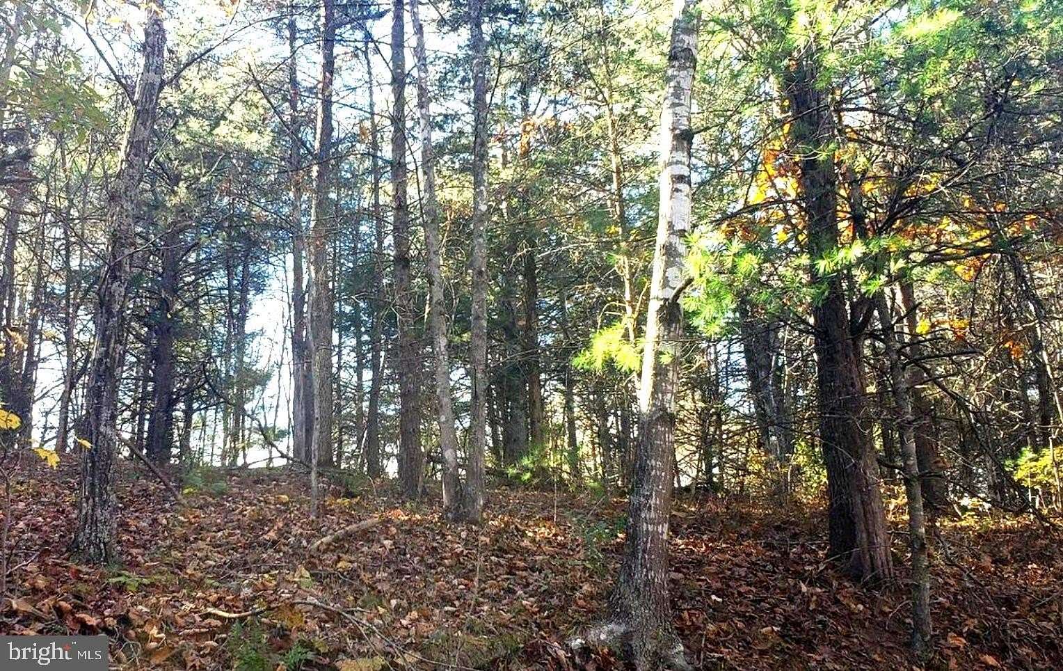 0.32 Acres of Residential Land for Sale in Basye, Virginia