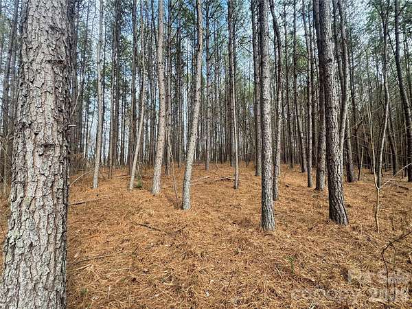 116 Acres of Recreational Land for Sale in Rutherfordton, North Carolina