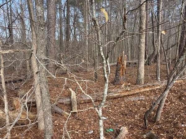 3.28 Acres of Residential Land for Sale in Oxford, Georgia