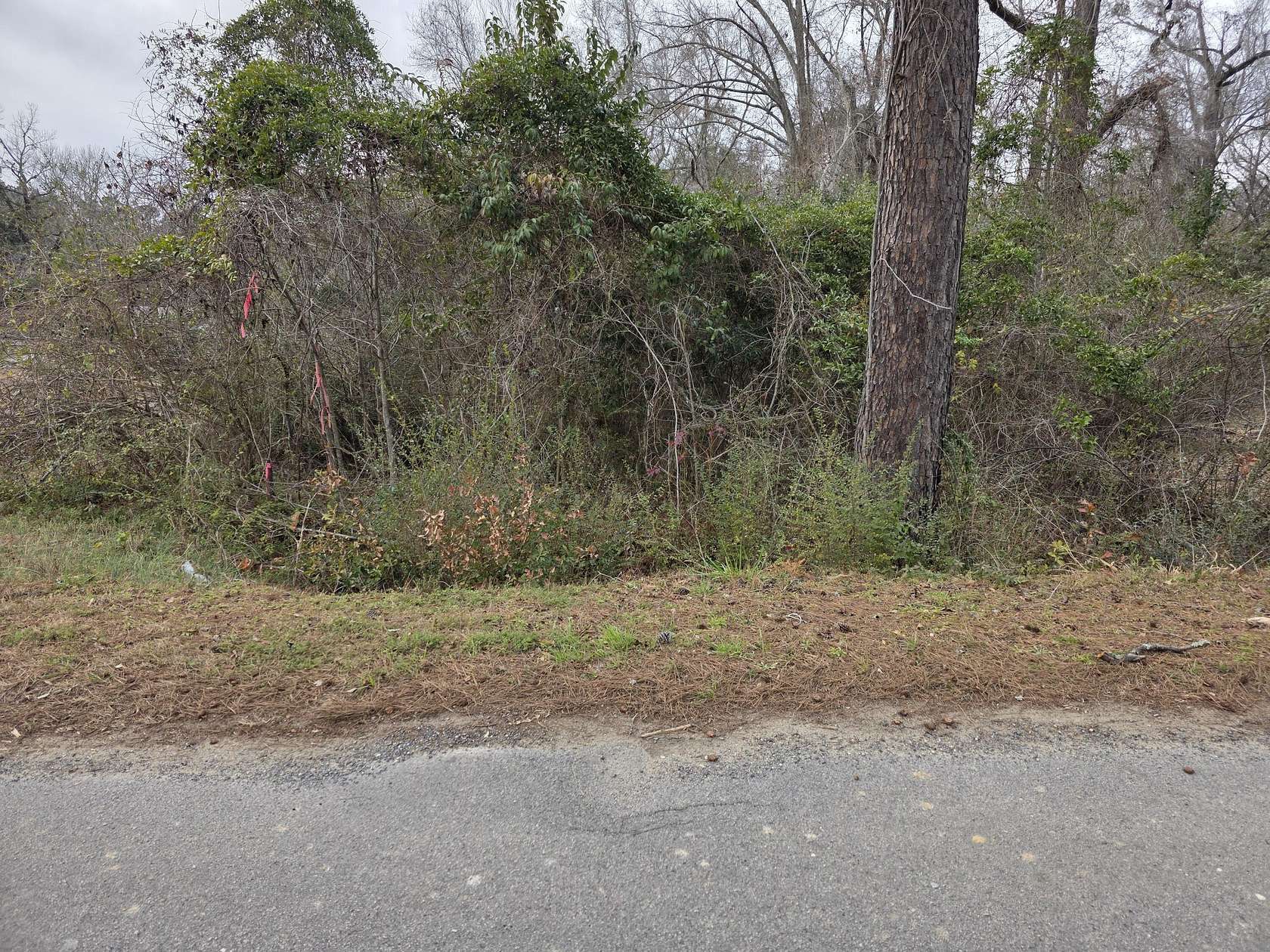 1.64 Acres of Land for Sale in Moncks Corner, South Carolina