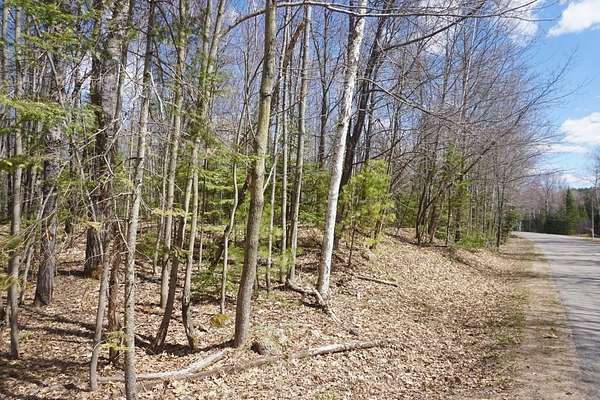 12.6 Acres of Land for Sale in Rhinelander, Wisconsin