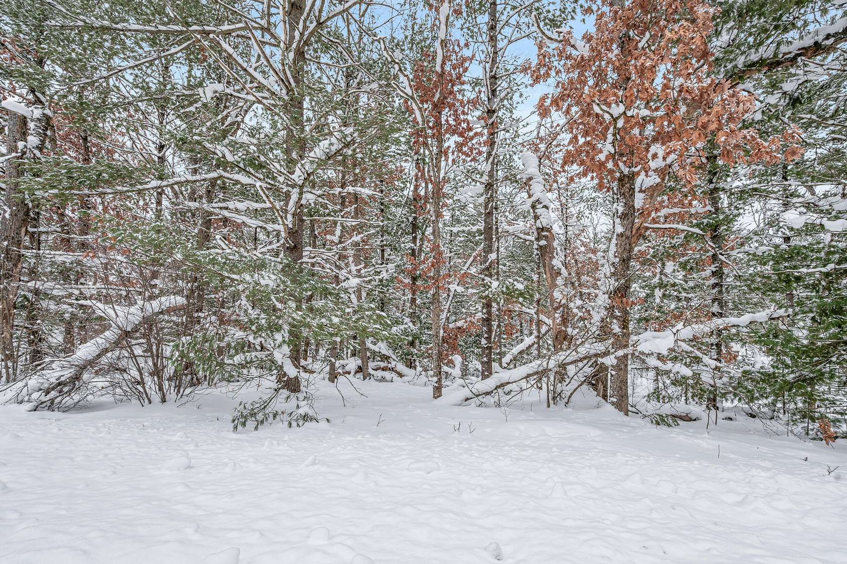 0.29 Acres of Land for Sale in Baldwin, Michigan