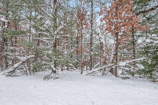 0.29 Acres of Land for Sale in Baldwin, Michigan