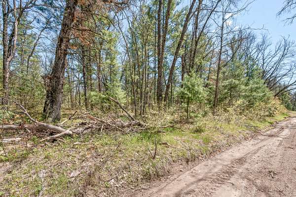 0.29 Acres of Land for Sale in Baldwin, Michigan