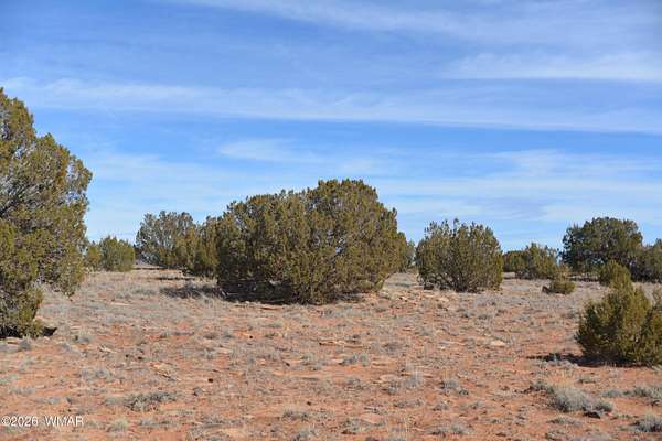 38.5 Acres of Land for Sale in Snowflake, Arizona