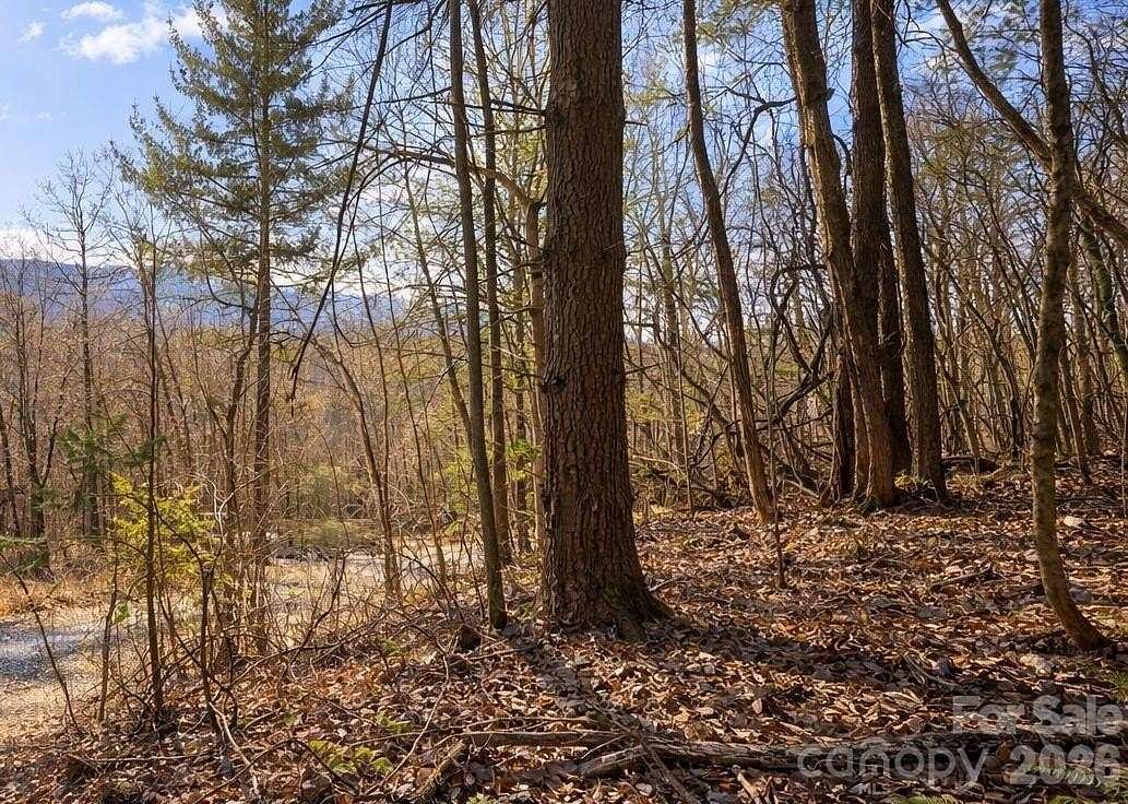 1 Acre of Residential Land for Sale in Waynesville, North Carolina