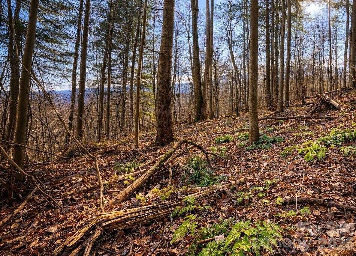 1 Acre of Residential Land for Sale in Waynesville, North Carolina