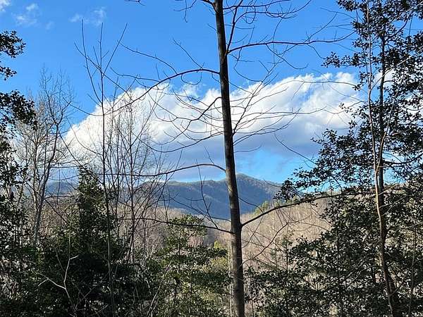 4 Acres of Land for Sale in Hayesville, North Carolina