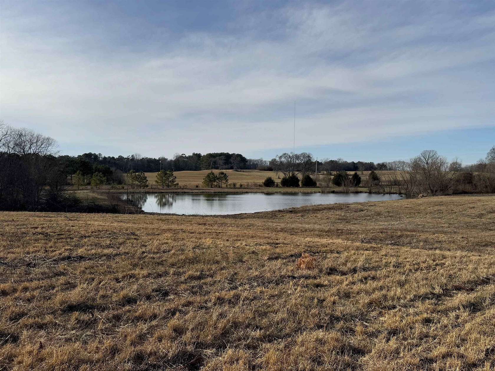 15 Acres of Land for Sale in Rogersville, Alabama