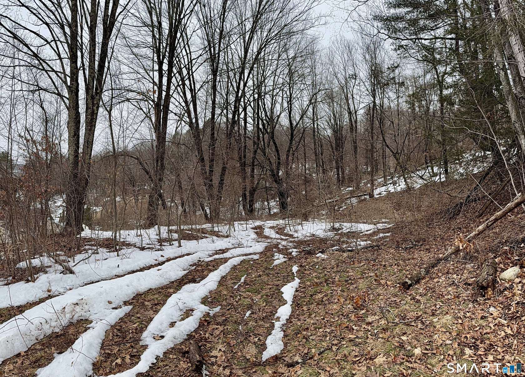 1.75 Acres of Residential Land for Sale in Thomaston, Connecticut