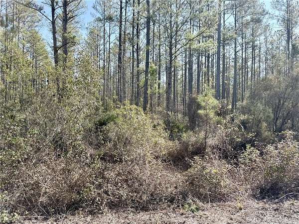 1 Acre of Residential Land for Sale in Waynesville, Georgia