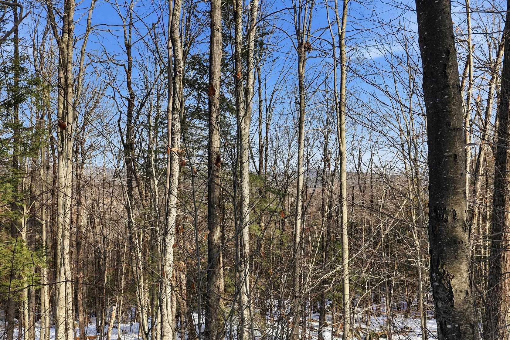 128 Acres of Land for Sale in Henniker, New Hampshire