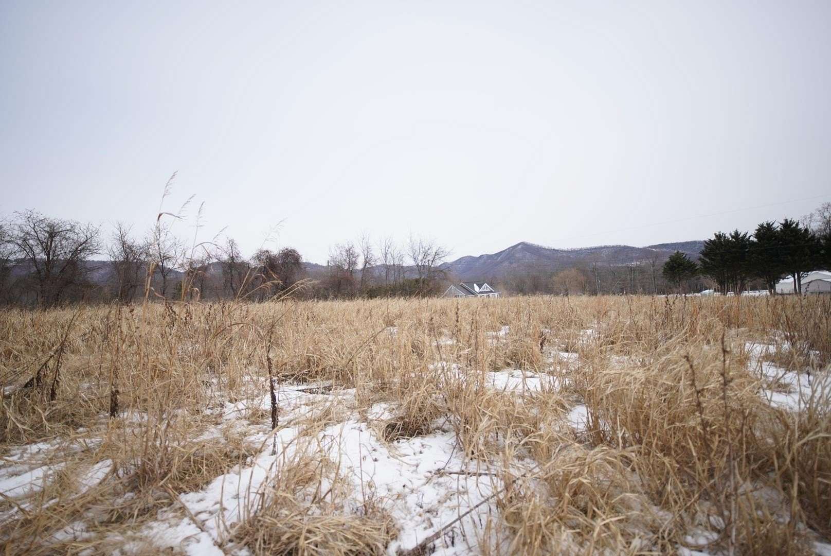 12.3 Acres of Land for Sale in Lambsburg, Virginia