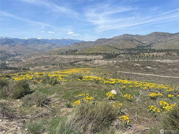 25.8 Acres of Recreational Land for Sale in Methow, Washington