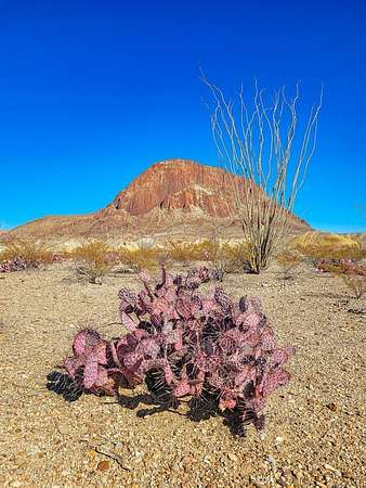 10 Acres of Land for Sale in Terlingua, Texas