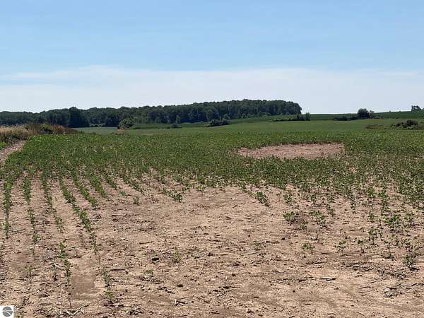 17.6 Acres of Mixed-Use Land for Sale in Mount Pleasant, Michigan