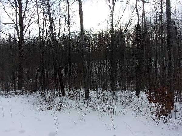 16.9 Acres of Land for Sale in Silver Cliff Town, Wisconsin