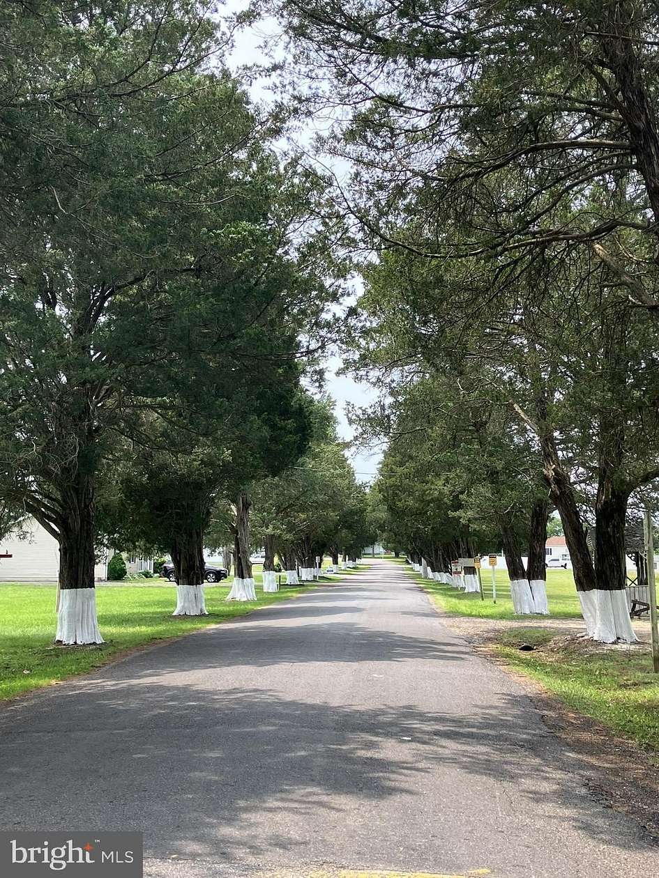 0.27 Acres of Residential Land for Sale in Bushwood, Maryland