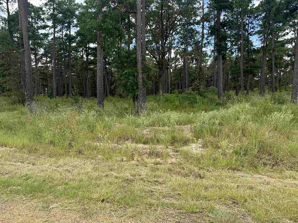 1.52 Acres of Residential Land for Sale in Brookeland, Texas