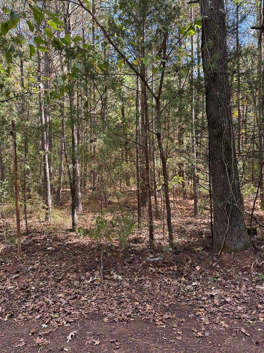 2 Acres of Land for Sale in Gilmer, Texas