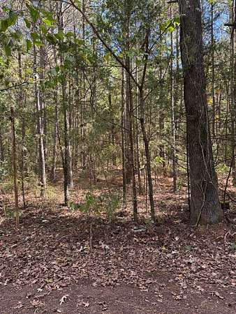 2 Acres of Land for Sale in Gilmer, Texas