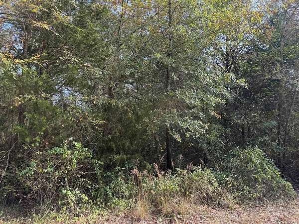 0.24 Acres of Land for Sale in Mabank, Texas