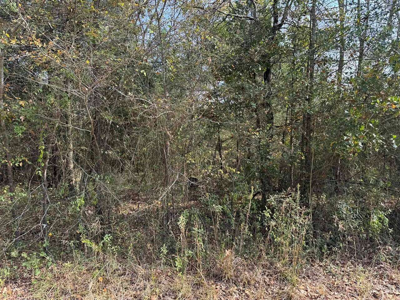0.23 Acres of Land for Sale in Mabank, Texas