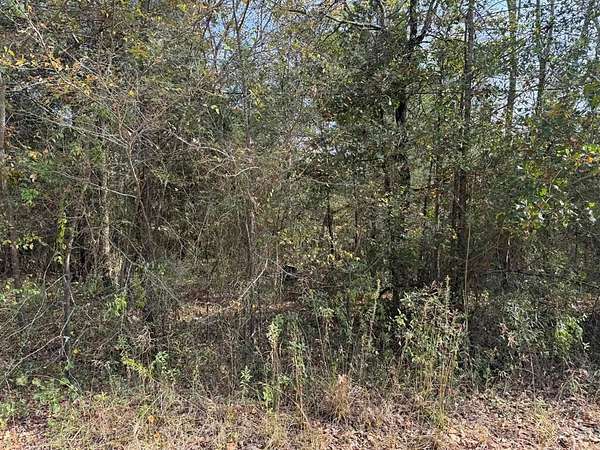 0.23 Acres of Land for Sale in Mabank, Texas