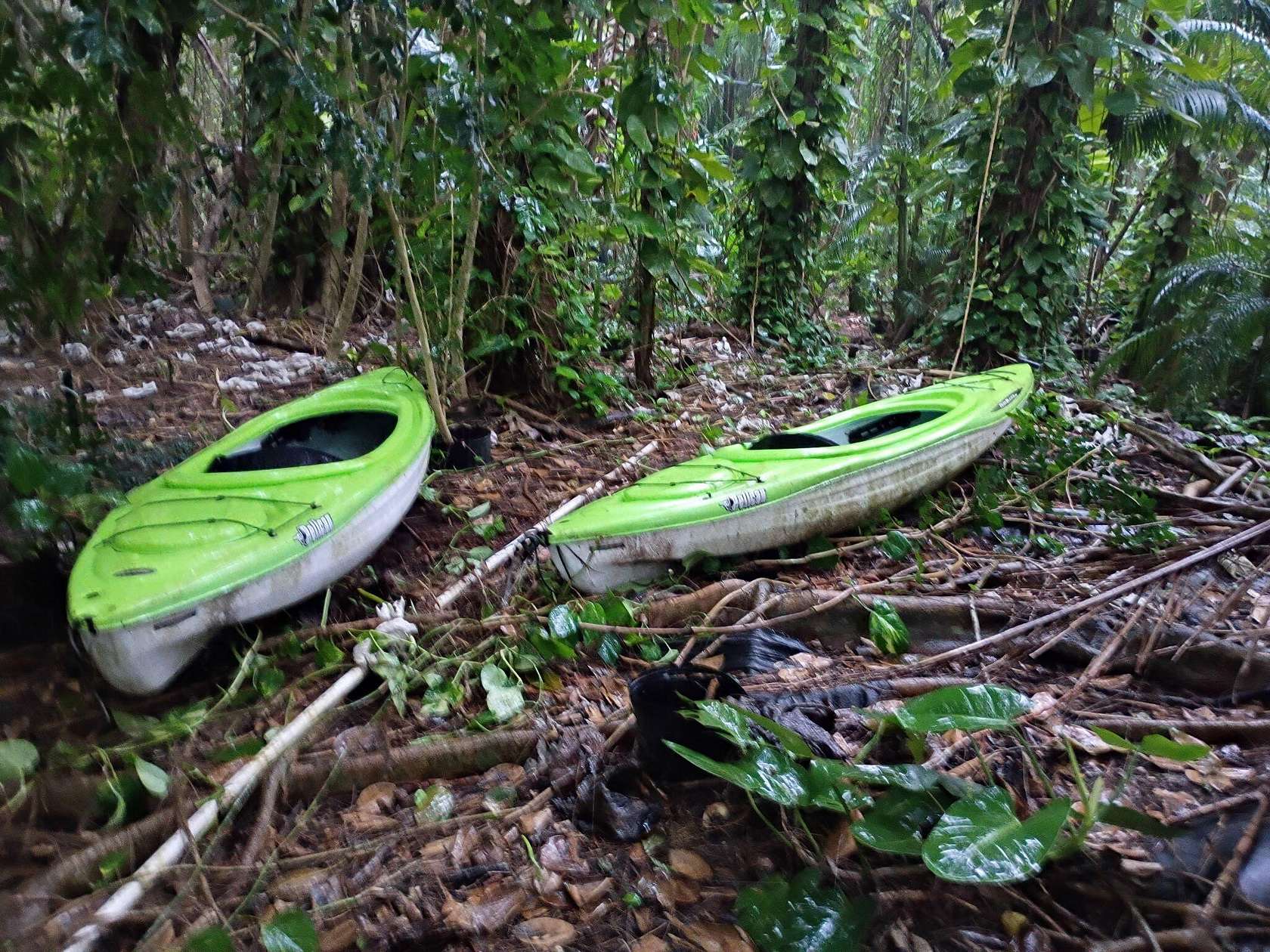 1.19 Acres of Residential Land for Sale in Jupiter, Florida