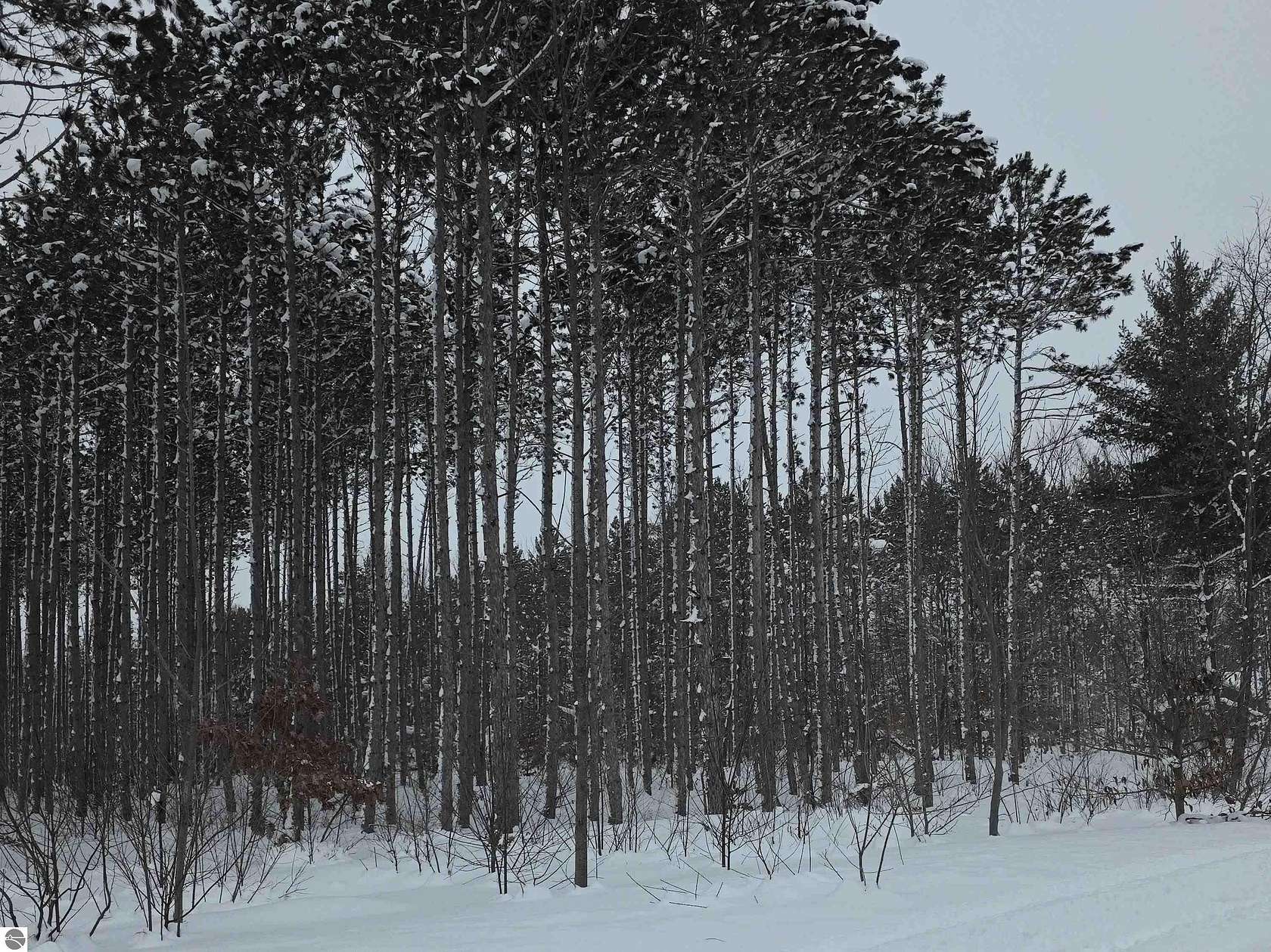 2.5 Acres of Residential Land for Sale in Interlochen, Michigan