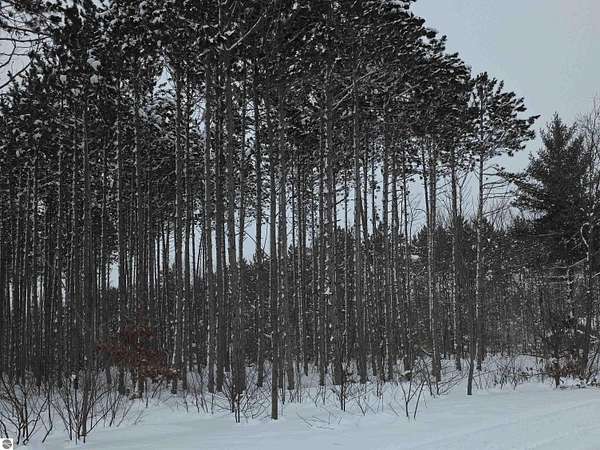 2.5 Acres of Residential Land for Sale in Interlochen, Michigan
