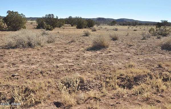 1.18 Acres of Residential Land for Sale in Snowflake, Arizona